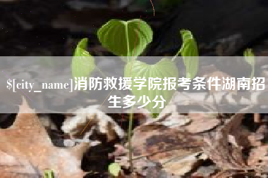 大悟消防救援学院报考条件湖南招生多少分