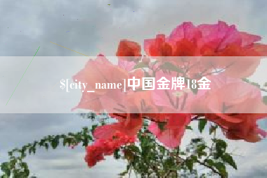 大悟中国金牌18金