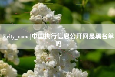 大悟中国执行信息公开网是黑名单吗