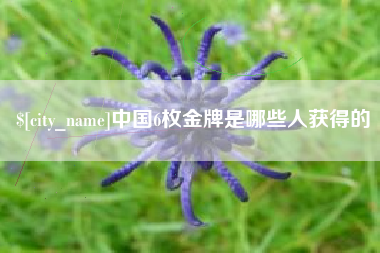 大悟中国6枚金牌是哪些人获得的