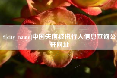 大悟中国失信被执行人信息查询公开网址