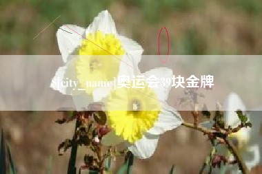 大悟奥运会39块金牌