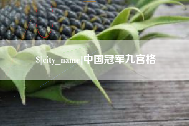 大悟中国冠军九宫格