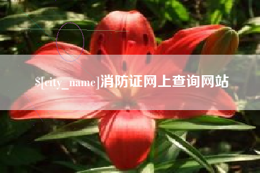 大悟消防证网上查询网站