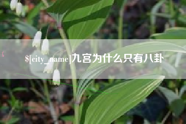 大悟九宫为什么只有八卦
