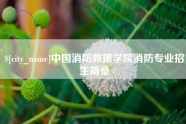 大悟中国消防救援学院消防专业招生简章