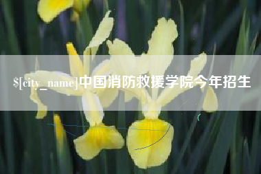 大悟中国消防救援学院今年招生