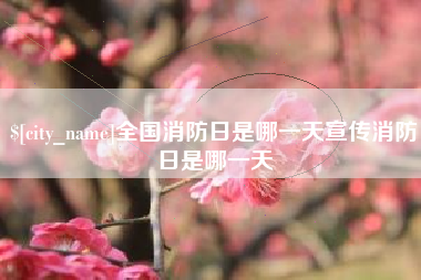 大悟全国消防日是哪一天宣传消防日是哪一天