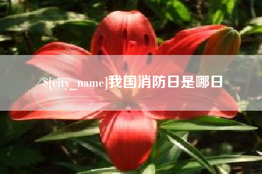 大悟我国消防日是哪日