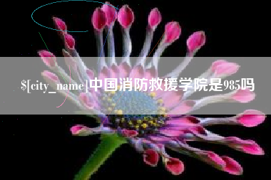 大悟中国消防救援学院是985吗