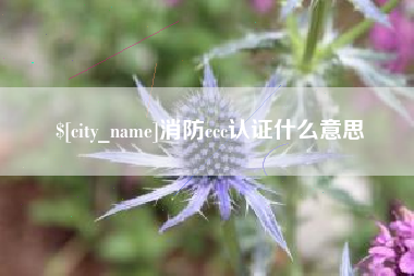 大悟消防ccc认证什么意思