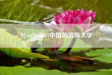 大悟中国的消防大学