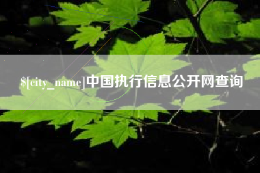 大悟中国执行信息公开网查询