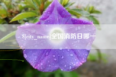 大悟全国消防日哪一