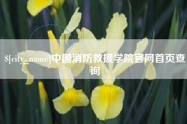 大悟中国消防救援学院官网首页查询