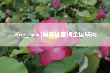 大悟消防证查询全国联网