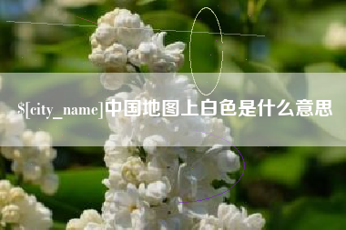 大悟中国地图上白色是什么意思
