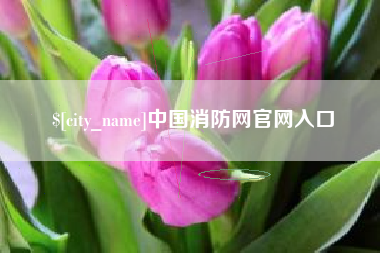 大悟中国消防网官网入口