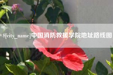 大悟中国消防救援学院地址路线图