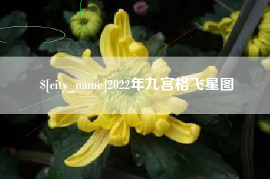 大悟2022年九宫格飞星图