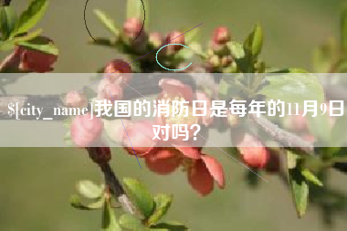 大悟我国的消防日是每年的11月9日对吗？