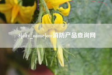 大悟ccc消防产品查询网