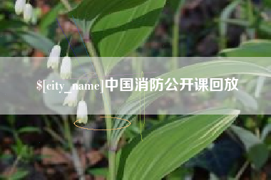 大悟中国消防公开课回放