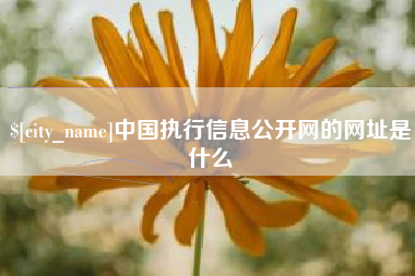 大悟中国执行信息公开网的网址是什么