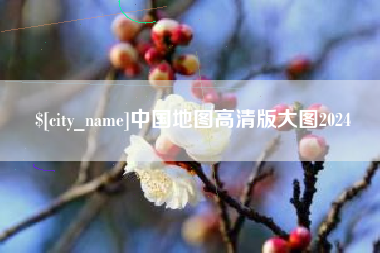 大悟中国地图高清版大图2024