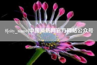 大悟中国消防网官方网站公众号