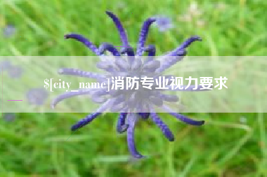 大悟消防专业视力要求