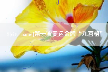 大悟第一波奥运金牌“九宫格”