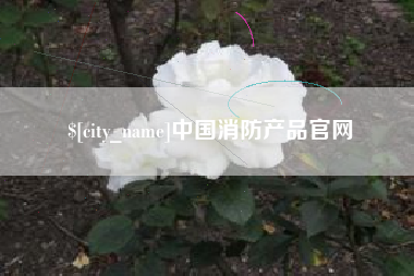 大悟中国消防产品官网