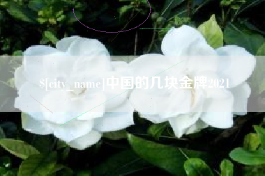 大悟中国的几块金牌2021