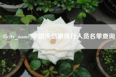 大悟中国失信被执行人员名单查询