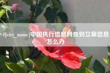 大悟中国执行信息网查到立案信息怎么办