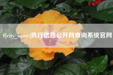 大悟执行信息公开网查询系统官网