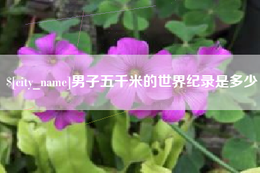 大悟男子五千米的世界纪录是多少