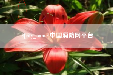 大悟中国消防网平台