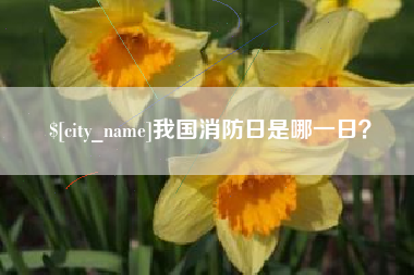 大悟我国消防日是哪一日？
