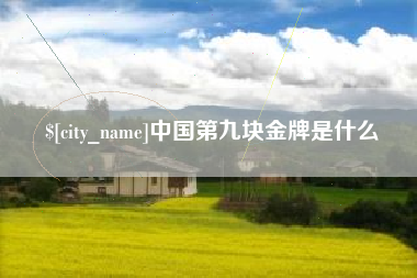 大悟中国第九块金牌是什么