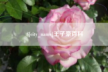 大悟王子豪百科