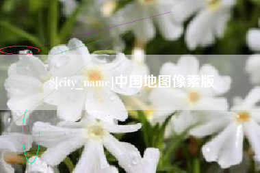 大悟中国地图像素版