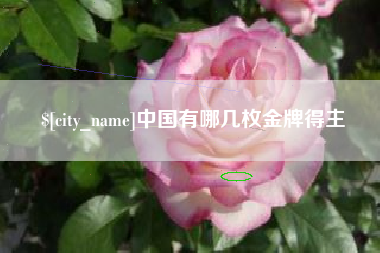 大悟中国有哪几枚金牌得主