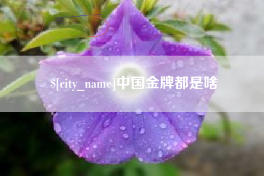 大悟中国金牌都是啥