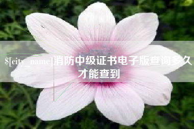 大悟消防中级证书电子版查询多久才能查到