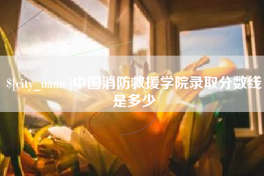 大悟中国消防救援学院录取分数线是多少