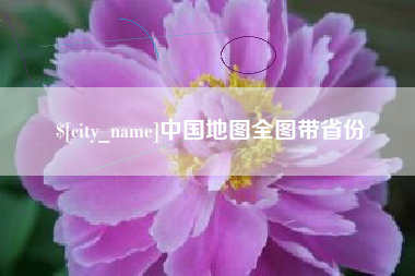 大悟中国地图全图带省份