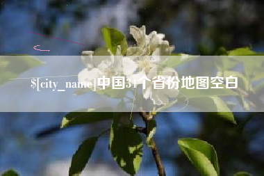 大悟中国34个省份地图空白