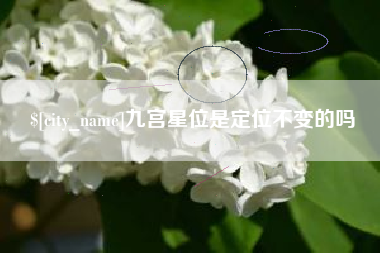 大悟九宫星位是定位不变的吗